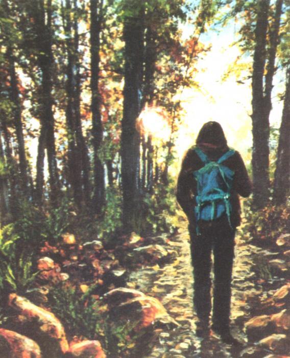 walk-in-the-woods-linda-crockett